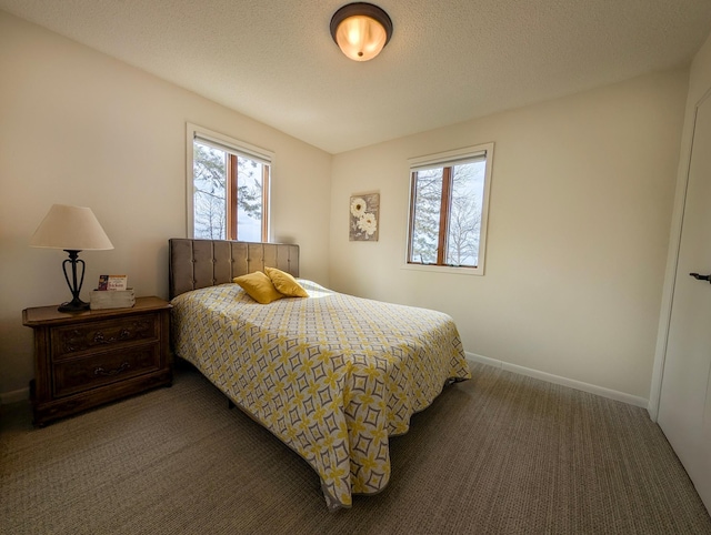 45257 Jack Pine Dr, Perham Twp, MN 56573 - bedroom with carpet flooring and baseboards