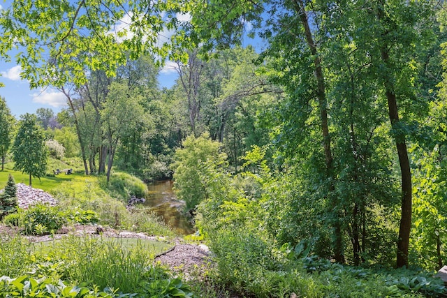 15881 Rush Creek Rd, Dayton, MN 55369 - view of nature