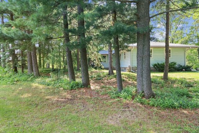 15881 Rush Creek Rd, Dayton, MN 55369 - view of yard