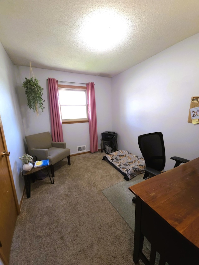 719 49th Ave NE, Columbia Heights, MN 55421 - carpeted home office featuring a textured ceiling