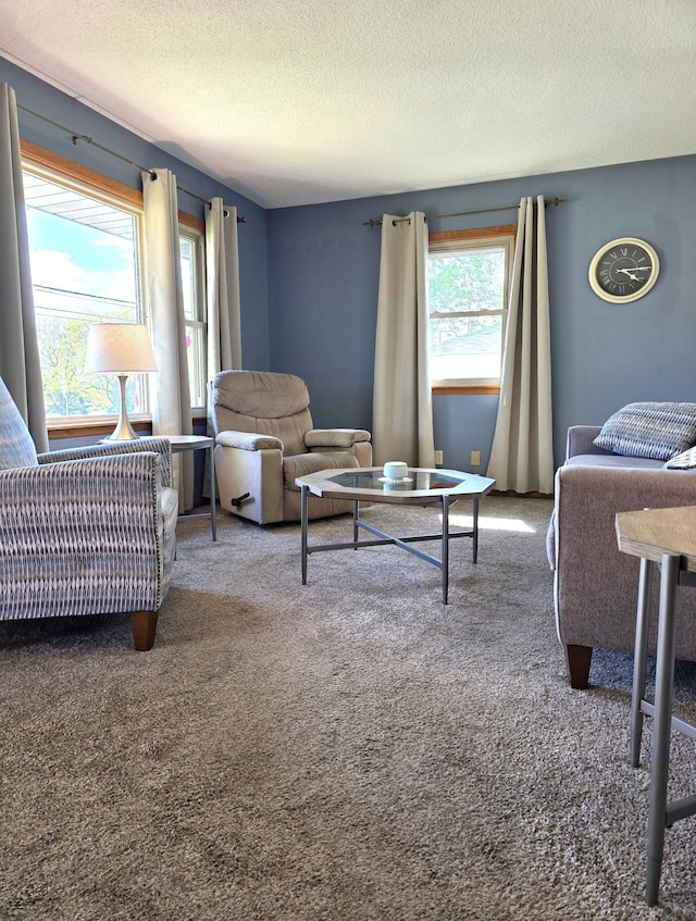 719 49th Ave NE, Columbia Heights, MN 55421 - carpeted living area featuring a textured ceiling