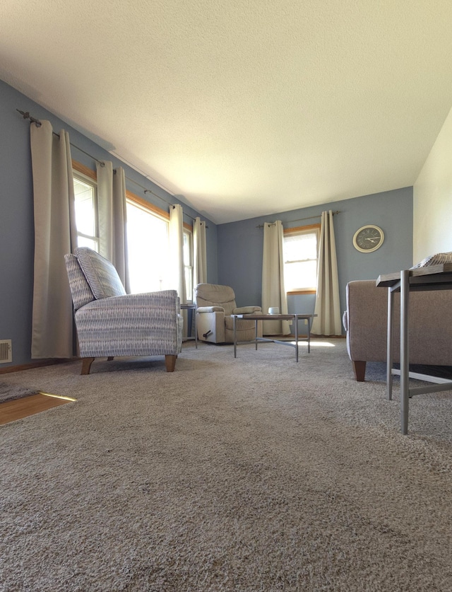 719 49th Ave NE, Columbia Heights, MN 55421 - living room with carpet and a textured ceiling