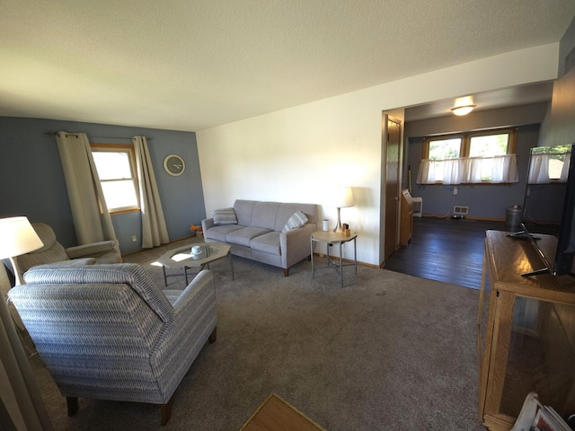 719 49th Ave NE, Columbia Heights, MN 55421 - carpeted living area featuring a textured ceiling