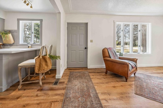 14347 Memorywood Dr, Baxter, MN 56425 - living area featuring visible vents, baseboards, and light wood-type flooring