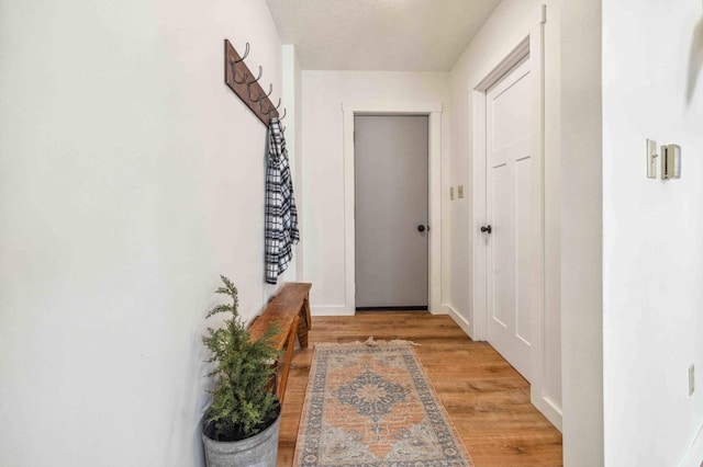 14347 Memorywood Dr, Baxter, MN 56425 - corridor featuring baseboards, a textured ceiling, and light wood-style flooring