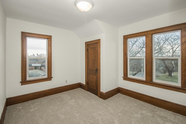 additional living space featuring baseboards and carpet