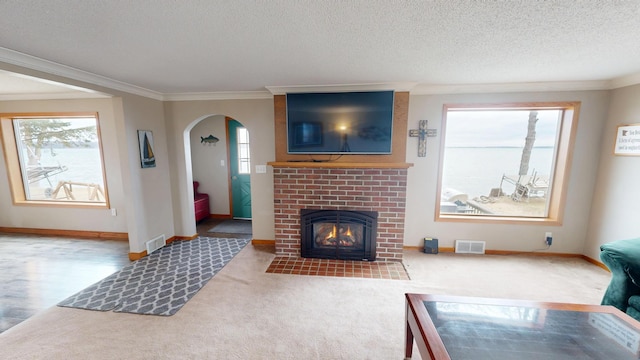 7030 147th Ave SE, Lake Lillian, MN 56253 - living room with arched walkways, baseboards, carpet, crown molding, and a fireplace