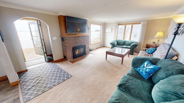 7030 147th Ave SE, Lake Lillian, MN 56253 - living area featuring arched walkways, ornamental molding, baseboards, and a fireplace