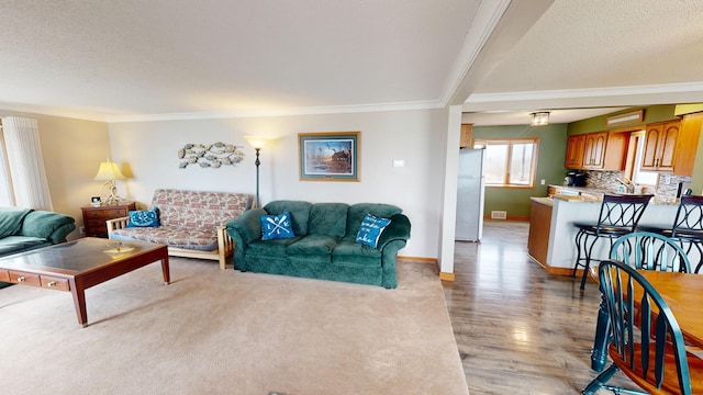 7030 147th Ave SE, Lake Lillian, MN 56253 - living area with ornamental molding, light wood-type flooring, and baseboards