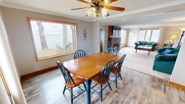 7030 147th Ave SE, Lake Lillian, MN 56253 - dining room featuring baseboards, ceiling fan, crown molding, a fireplace, and arched walkways