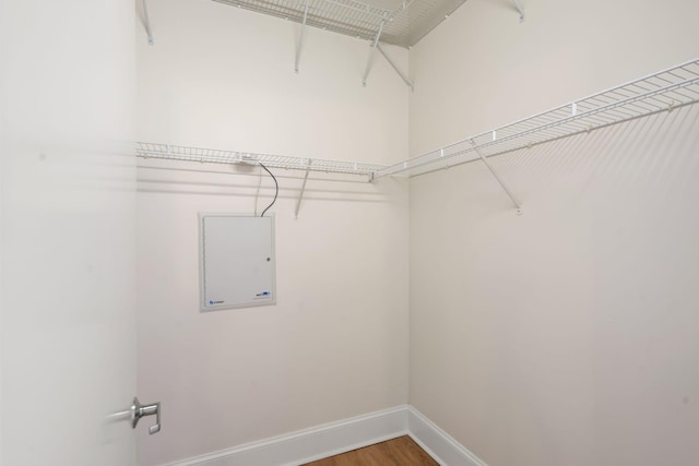 spacious closet featuring electric panel and wood finished floors