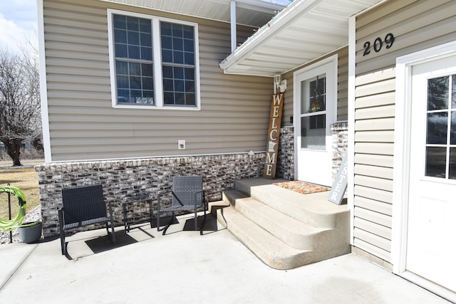 209 2nd Ave N, Viking, MN 56760 - view of patio