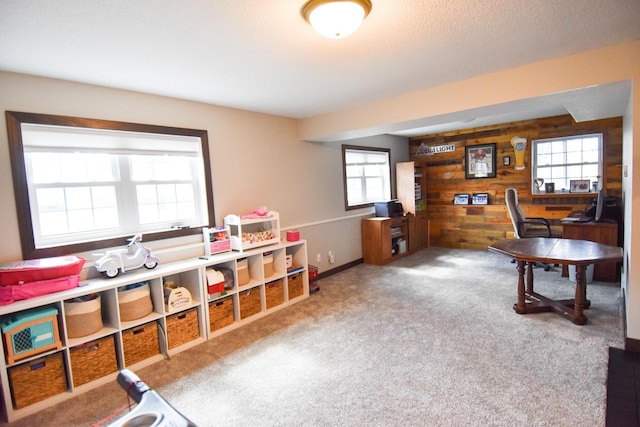 209 2nd Ave N, Viking, MN 56760 - photo 41
