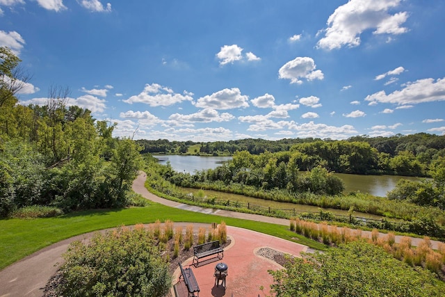 3110 Chestnut St Unit 105, Chaska, MN 55318 - photo 11