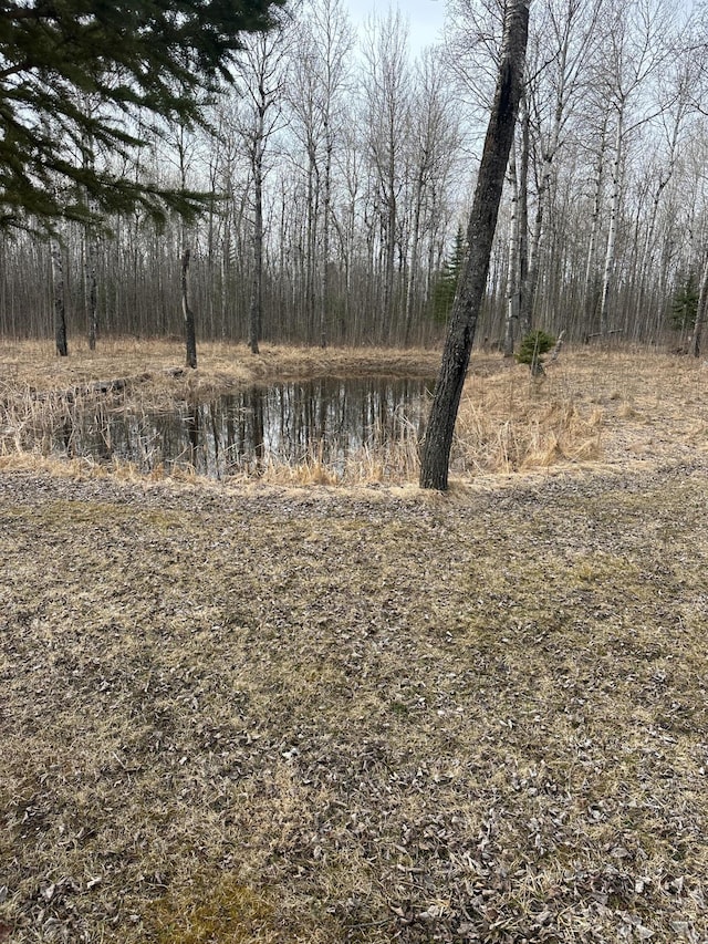 view of nature