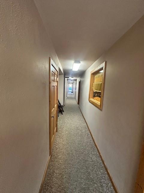 120 Jessie St, Rushford, MN 55971 - photo 18