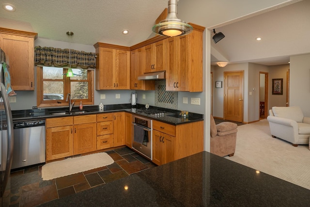 3195 115th St NW, Oronoco, MN 55960 - kitchen featuring appliances with stainless steel finishes, a sink, under cabinet range hood, dark stone finish floors, and recessed lighting