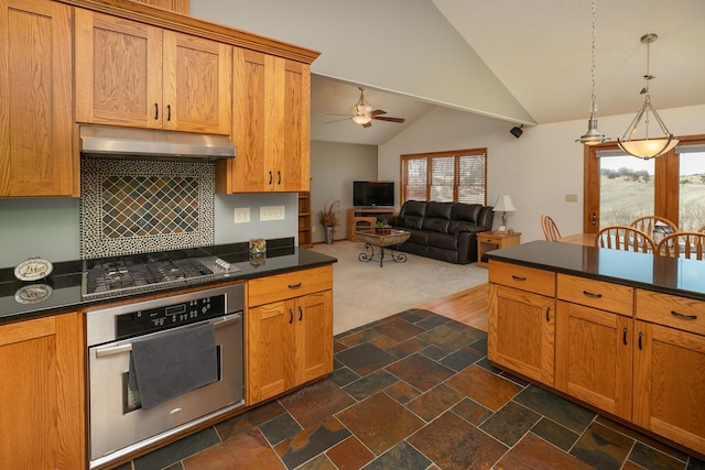 3195 115th St NW, Oronoco, MN 55960 - kitchen featuring appliances with stainless steel finishes, under cabinet range hood, dark countertops, ceiling fan, and vaulted ceiling