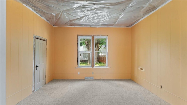 723 3rd St SW, Willmar, MN 56201 - unfurnished room with carpet and wood walls