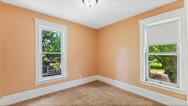 723 3rd St SW, Willmar, MN 56201 - spare room with carpet and baseboards