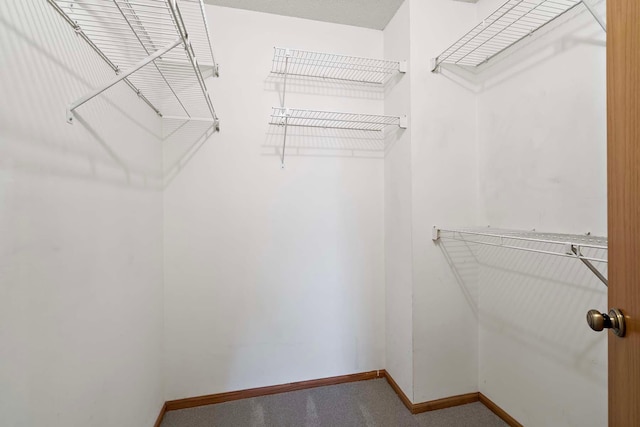 view of walk in closet