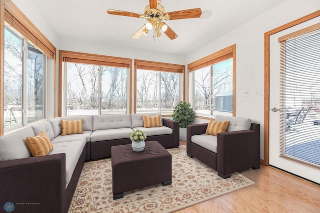 3358 70th Ave N, Moorhead, MN 56560 - photo 21