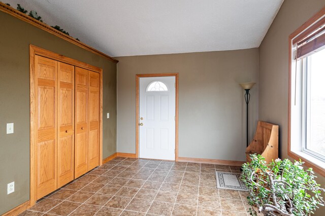 34506 Pleasant Point Dr, Homer Twp, MN 55987 - entrance foyer with healthy amount of natural light and baseboards