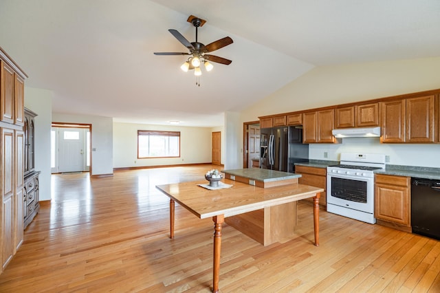 34506 Pleasant Point Dr, Homer Twp, MN 55987 - kitchen featuring black appliances, under cabinet range hood, a ceiling fan, light wood finished floors, and lofted ceiling