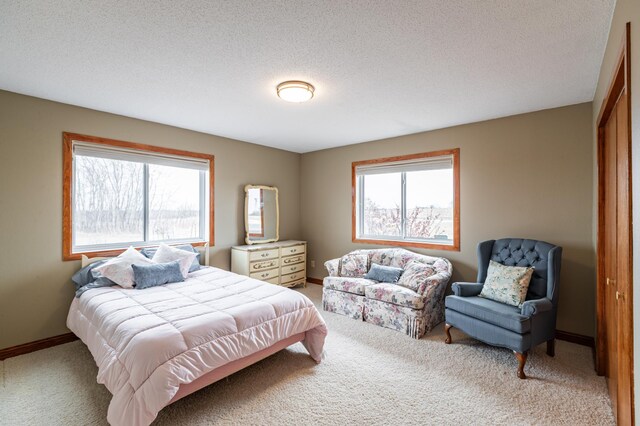 34506 Pleasant Point Dr, Homer Twp, MN 55987 - bedroom with light colored carpet, baseboards, and a textured ceiling