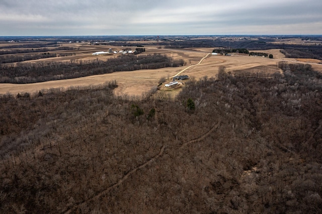 34506 Pleasant Point Dr, Homer Twp, MN 55987 - view of property location with rural landscape