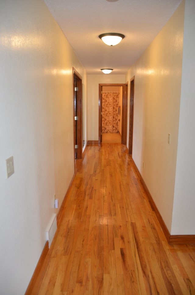34506 Pleasant Point Dr, Homer Twp, MN 55987 - hall featuring light wood-style flooring and baseboards