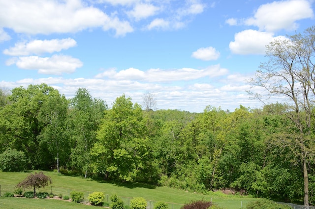 34506 Pleasant Point Dr, Homer Twp, MN 55987 - view of yard featuring a view of trees