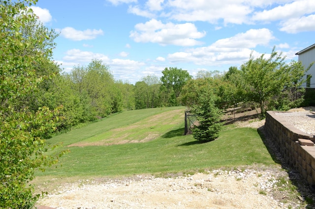 34506 Pleasant Point Dr, Homer Twp, MN 55987 - view of green lawn