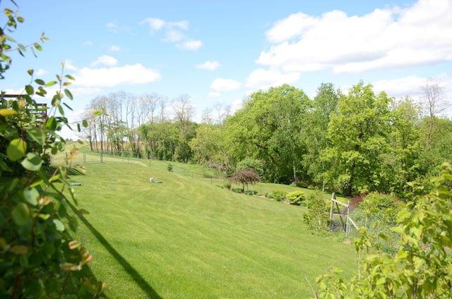 34506 Pleasant Point Dr, Homer Twp, MN 55987 - view of yard featuring view of wooded area