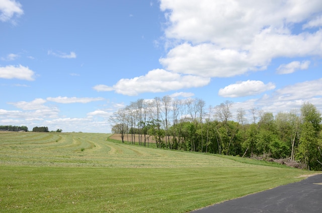 34506 Pleasant Point Dr, Homer Twp, MN 55987 - view of community featuring a lawn