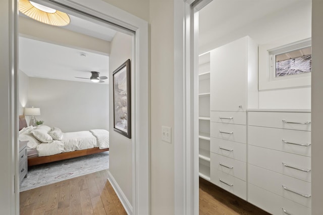 4767 Lake Ave, White Bear Lake, MN 55110 - walk in closet with wood finished floors and ceiling fan