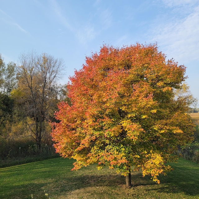 19826 Dakota Ave, Prior Lake, MN 55372 - view of grassy yard