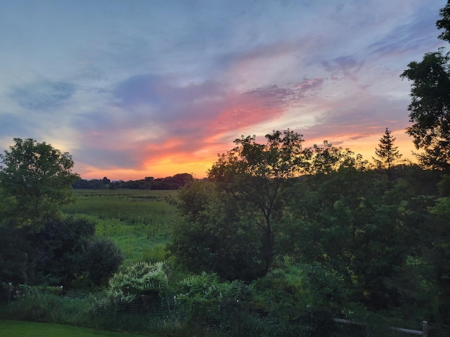 19826 Dakota Ave, Prior Lake, MN 55372 - view of local wilderness