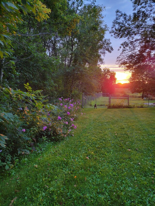 19826 Dakota Ave, Prior Lake, MN 55372 - view of yard