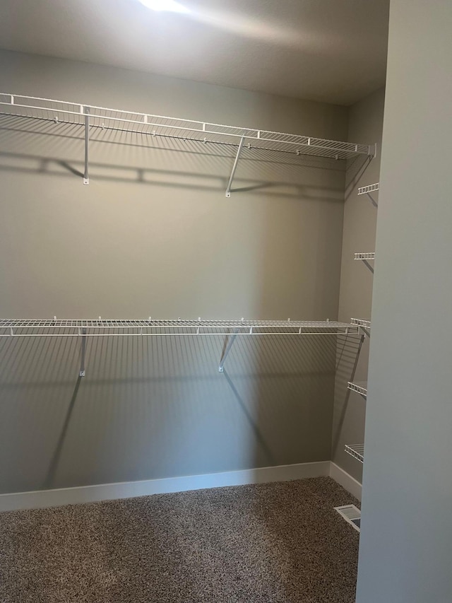 1591 76th St W, Inver Grove Heights, MN 55077 - view of spacious closet
