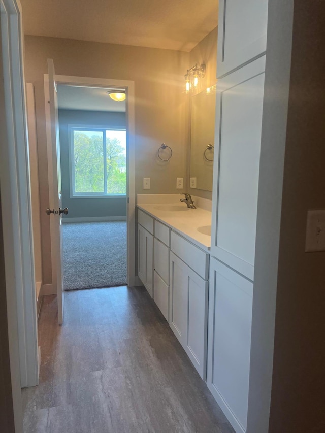 1591 76th St W, Inver Grove Heights, MN 55077 - bathroom featuring wood finished floors and double vanity