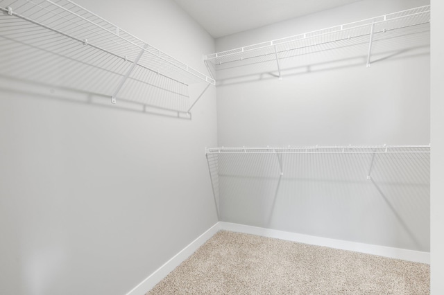 1591 76th St W, Inver Grove Heights, MN 55077 - walk in closet with carpet