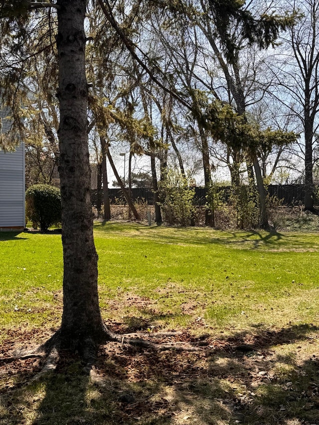 view of yard featuring fence