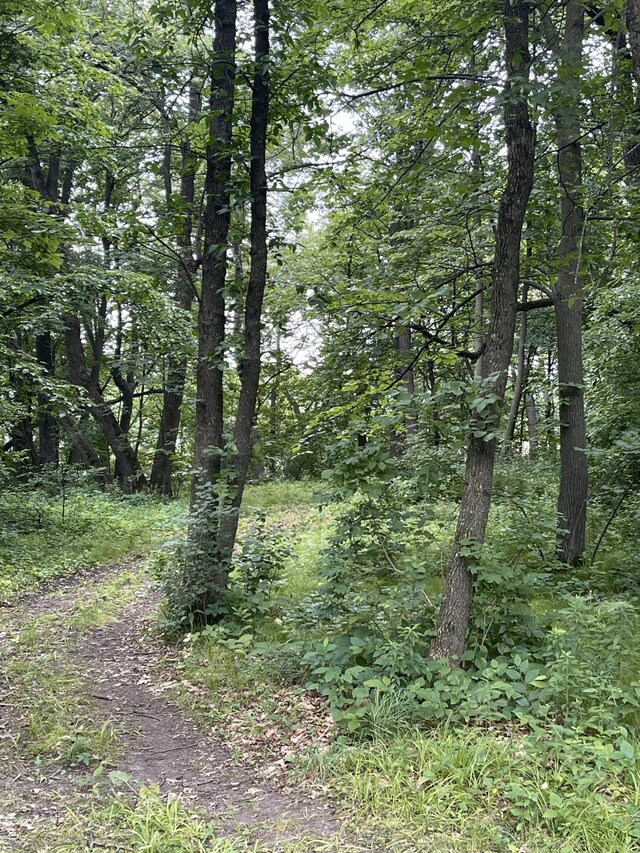24325 180th St, Paynesville, MN 56362 - photo 12