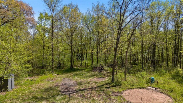 24325 180th St, Paynesville, MN 56362 - photo 19