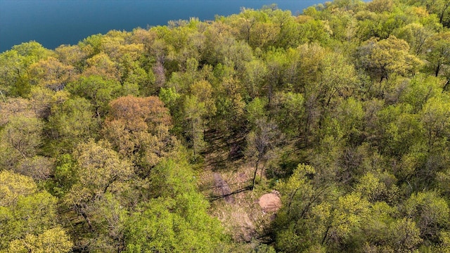 24325 180th St, Paynesville, MN 56362 - photo 20
