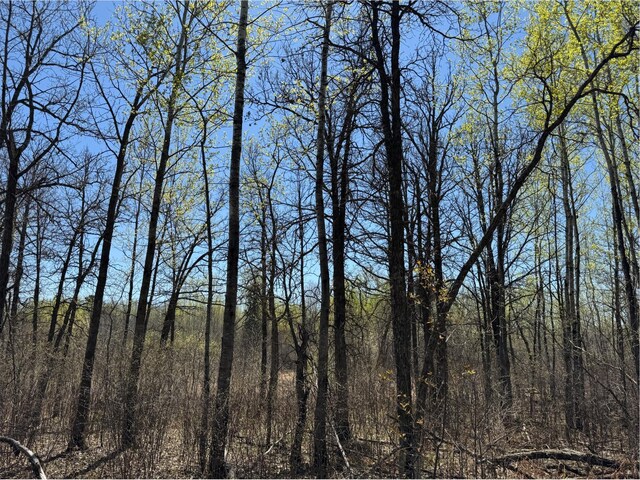 36101 159th Ave, Bagley, MN 56621 - view of tree filled area