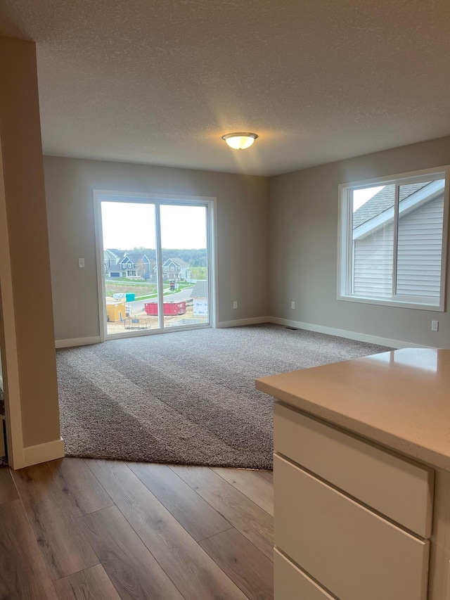 1595 76th St W, Inver Grove Heights, MN 55077 - unfurnished room featuring baseboards, a textured ceiling, light wood-style floors, and light colored carpet