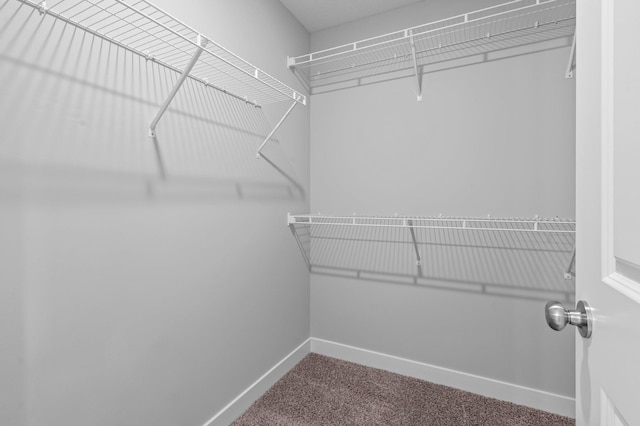 1595 76th St W, Inver Grove Heights, MN 55077 - walk in closet featuring carpet flooring