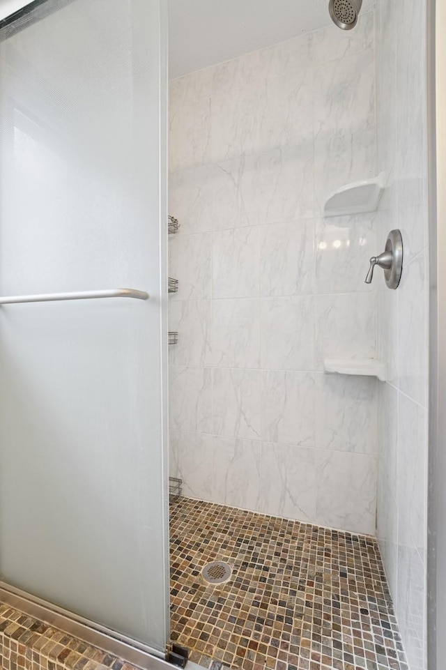 full bathroom featuring a shower stall